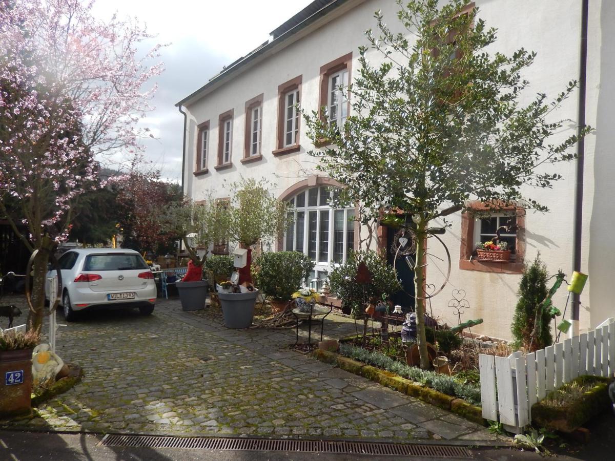 Apartment Altes Winzerhaus Osann-Monzel 外观 照片