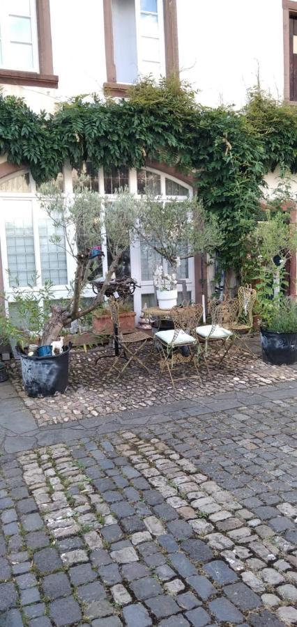 Apartment Altes Winzerhaus Osann-Monzel 外观 照片