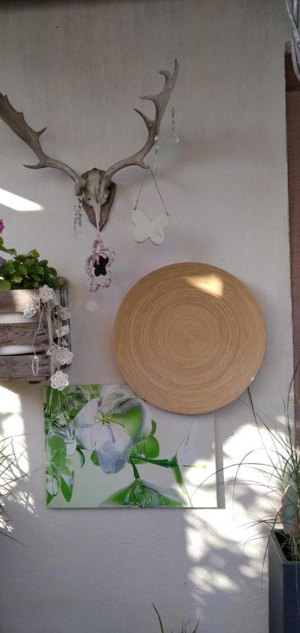 Apartment Altes Winzerhaus Osann-Monzel 外观 照片