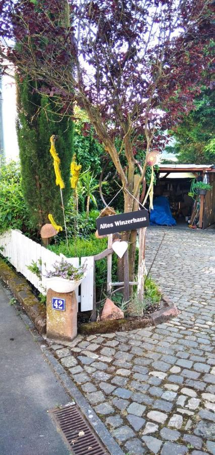 Apartment Altes Winzerhaus Osann-Monzel 外观 照片