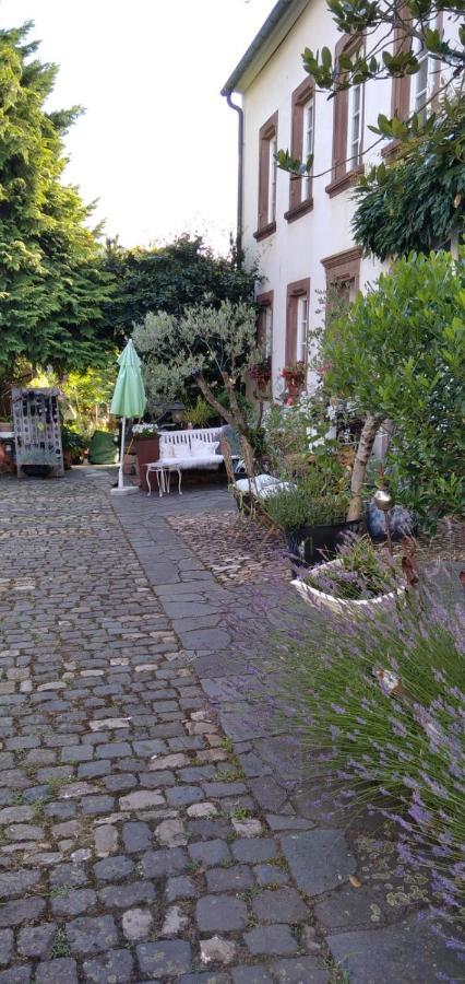 Apartment Altes Winzerhaus Osann-Monzel 外观 照片
