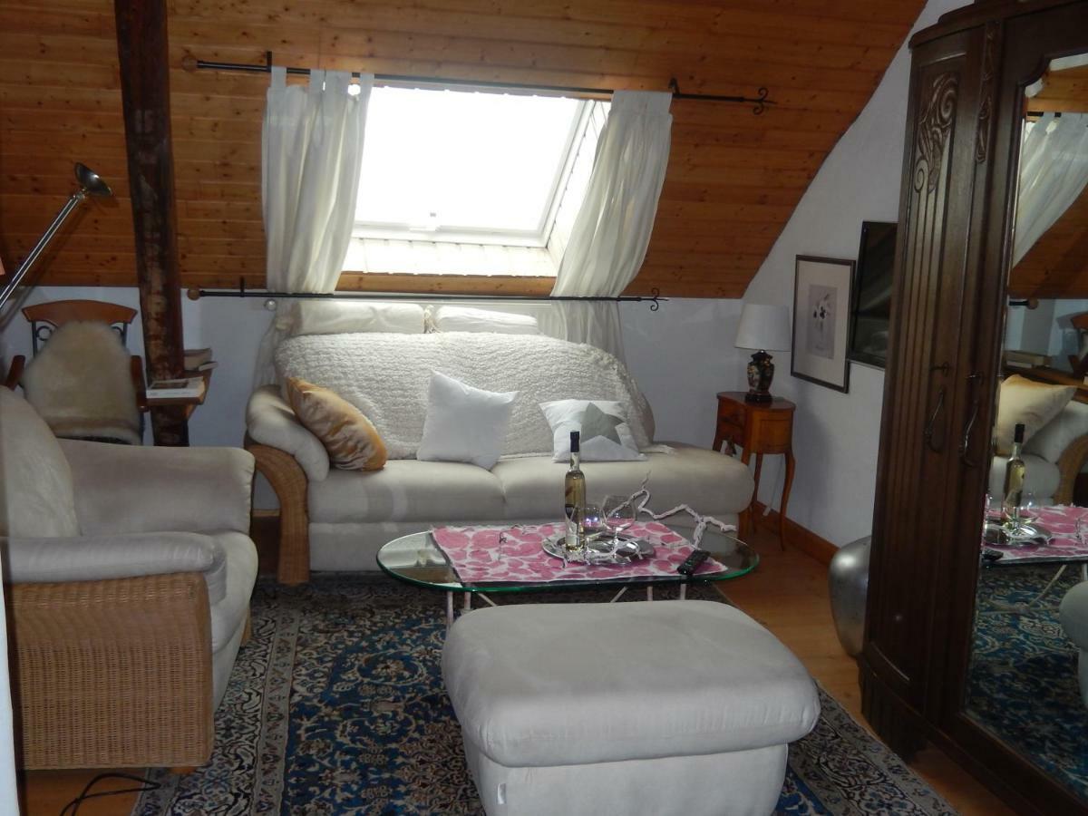 Apartment Altes Winzerhaus Osann-Monzel 外观 照片